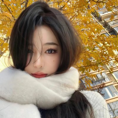 风骚律师第四季
